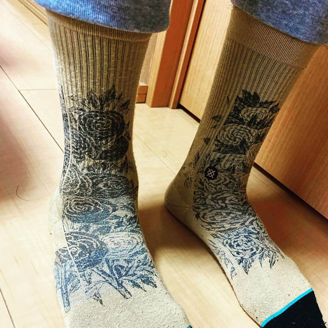 眞庭城聖さんのインスタグラム写真 - (眞庭城聖Instagram)「@stance_japan 今シーズン沢山のサポートありがとうございました‼️プレー面でもプライベート面でもすごくお世話になりました‼️やっぱカッケーっす🙌 #stance #stancesocks #socks #basketball #streetball #茨城ロボッツ #挑戦者 #underdog #27 #ありきたりはつまらない」4月9日 17時07分 - money_0527