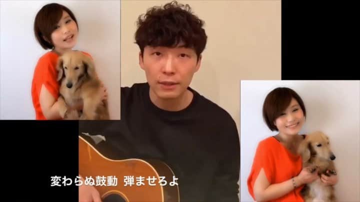Karinのインスタグラム：「星野源さんのコラボ企画✨ 「うちへ踊ろう」を愛犬ノンちゃんと一緒に歌いました🎤 ・ 歌うほど心に沁みてくる曲🎵 星野源さんと一緒に歌えて楽しかったし、大切な家族であるノンちゃんとの思い出が出来て嬉しかったです✨ ・ フルバージョンはプロフィールページからYouTube動画で観られます✨ ・ @iamgenhoshino ・ #うちで踊ろう #星野源 #YouTube #コラボ #シンガー #シンガーソングライター #音楽 #音楽好きな人と繋がりたい  #ライブ #写真 #live #photo #music #ilovemusic #musicgram #karin #singer #singersongwriter #stayhome #staysafe #stayathome」