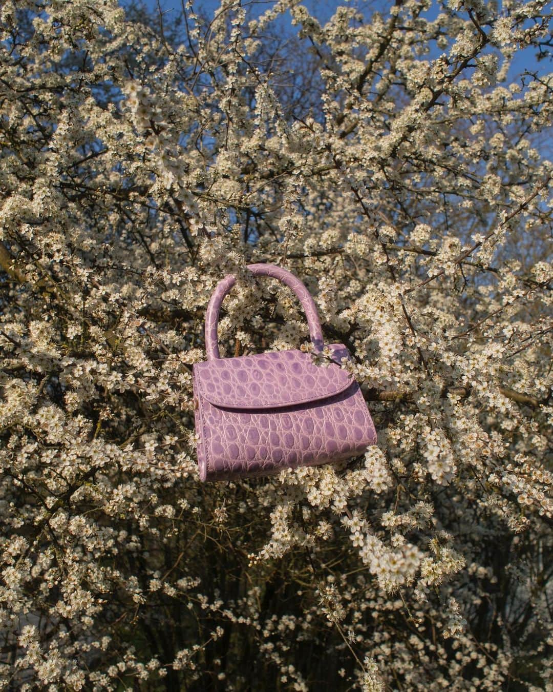 ベア・ハンソンのインスタグラム：「mini lilac🌼」