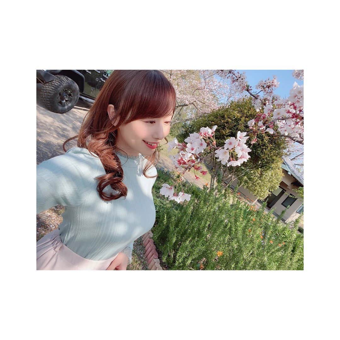 のインスタグラム：「去年の桜グラビアはインテックさん。 今年の桜グラビアは週刊大衆さん。 来年の桜グラビアはどうなるかなぁ。☺️☺️🌸 . .」