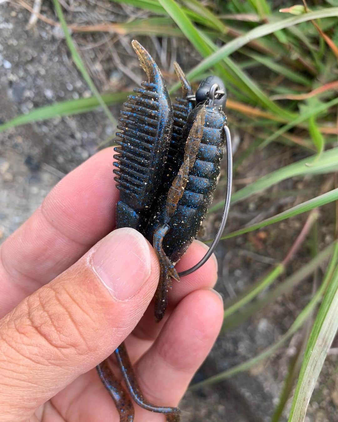 金森隆志さんのインスタグラム写真 - (金森隆志Instagram)「ボディーの半分は極太の爪🦞だからこそ出せる"間"と存在感。 ボクサーのグローブ🥊の様な極端な拳💪(ツメ)に見える事から名前がついた闘うザリガニことバトルホッグ🦞 レベルミノーに並ぶこの春の釣果を支えてくれた頼れるヤツ♫ ま！行く現場で頼るモノが変わってしまいますが… 春のベイトフィッシュパターン🐟がある一方でワカサギやシラウオが存在しないため池や河川ではザリパターン🦞 フィールドによってエサは異なるので、勿論！使うルアーやアプローチも当然のように変わりますよね！」4月9日 19時27分 - kanamori_raidjapan