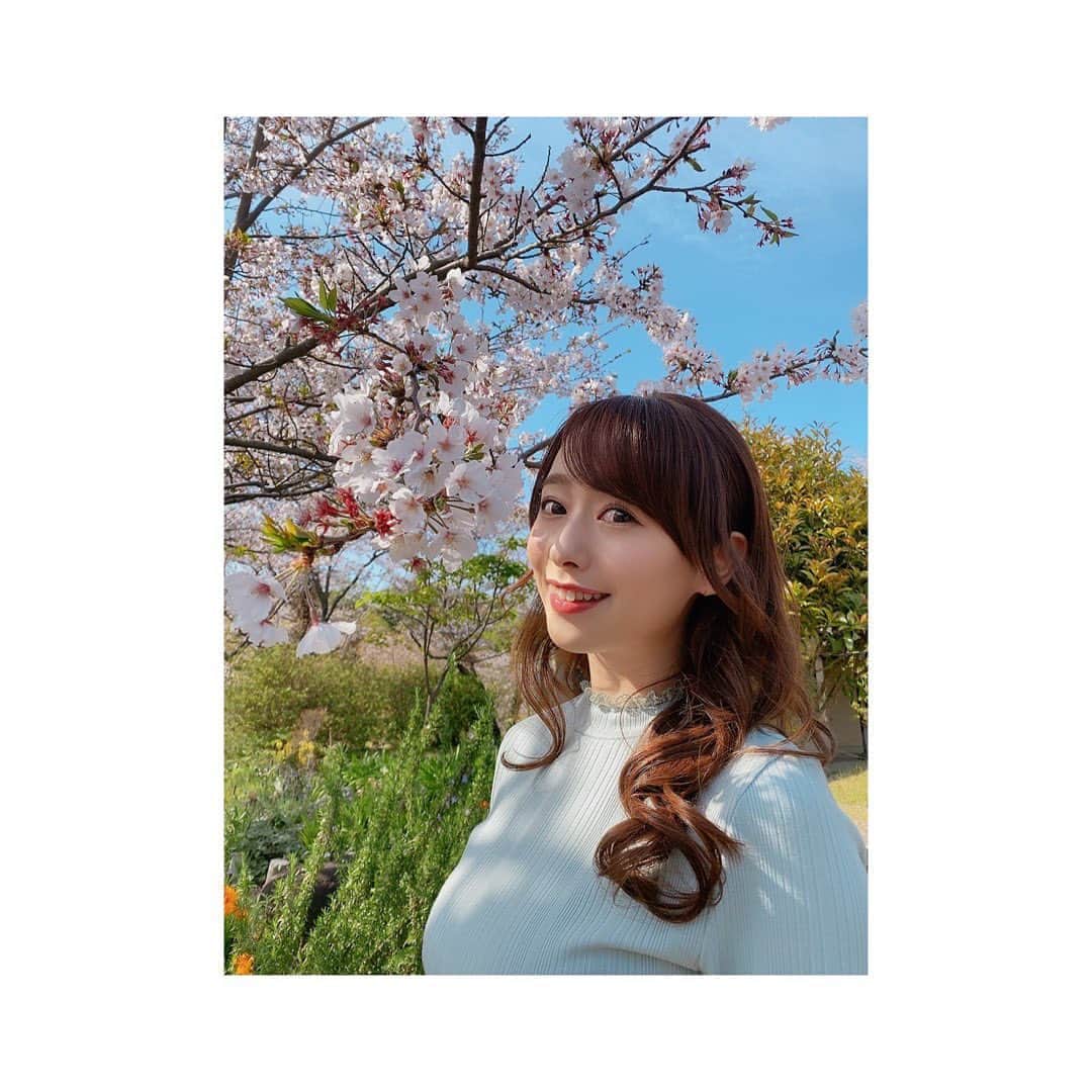 白石茉莉奈さんのインスタグラム写真 - (白石茉莉奈Instagram)「#桜 🥰🌸」4月9日 19時27分 - marina_shiraishi_official