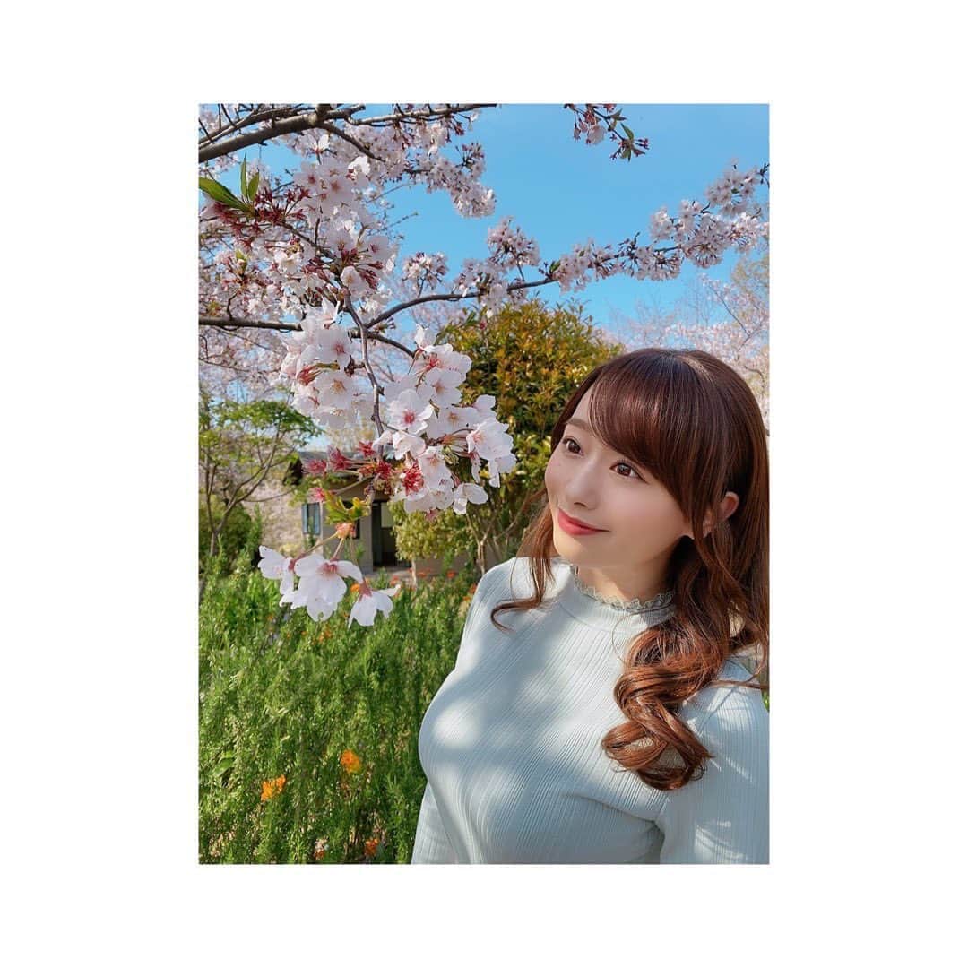 白石茉莉奈さんのインスタグラム写真 - (白石茉莉奈Instagram)「#桜 🥰🌸」4月9日 19時27分 - marina_shiraishi_official