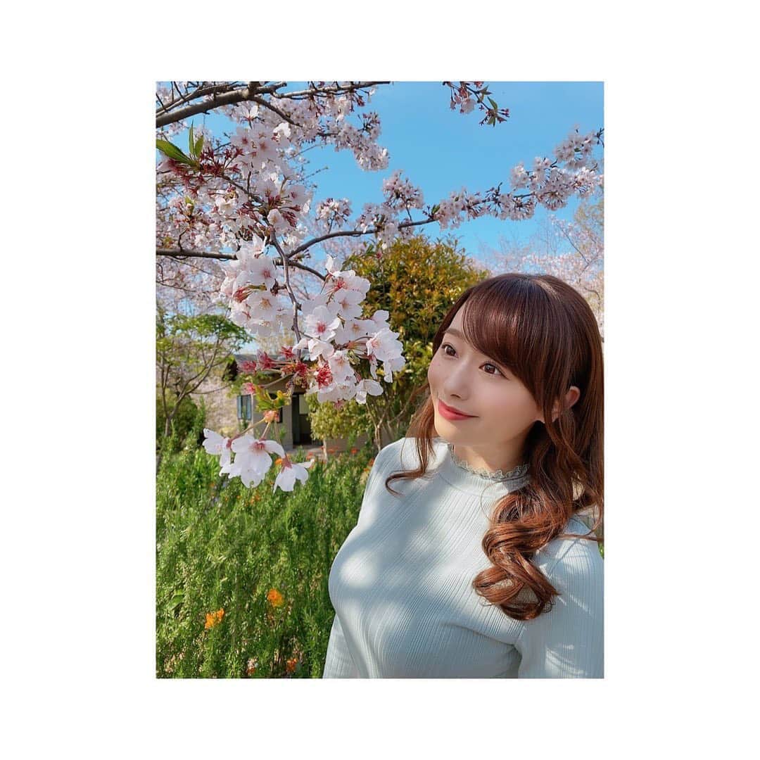 のインスタグラム：「#桜 🥰🌸」