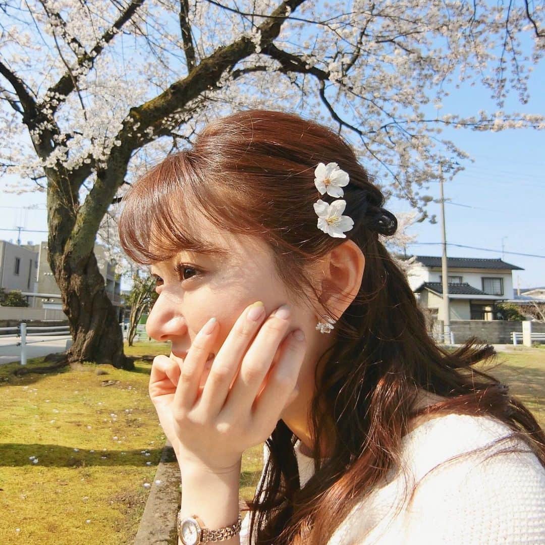 的場絢香さんのインスタグラム写真 - (的場絢香Instagram)「*﻿ ﻿ 桜見られて浮かれるわたし☺︎﻿ ﻿ 実家から徒歩17秒ほどの公園で。﻿ 満開の桜が嬉しくって、﻿ 思わず落ちてた桜を…🌸🌸笑﻿ ﻿ ちょっとの時間だったけど﻿ 春の香り感じられました♡﻿ ﻿ *﻿ ﻿ 正しい情報を知って行動するために、﻿ 京都大学の山中伸弥教授による﻿ 新型コロナウイルスに関する﻿ 情報発信サイトを見ています。﻿ わたしでもわかるくらい、←﻿ わかりやすくまとめられています。﻿ ﻿ "新型コロナウイルスとの闘いは﻿ 1年は続く可能性のある長いマラソンです。"﻿ "桜は来年も必ず帰ってきます。﻿ もし人の命が奪われたら、二度と帰ってきません。"﻿ ﻿ 山中教授の言葉、響きます。﻿ 1日も早く平穏な日々が戻ることを﻿ 心から祈ってます🙏🏻﻿ ﻿」4月9日 20時21分 - ayaka_matoba
