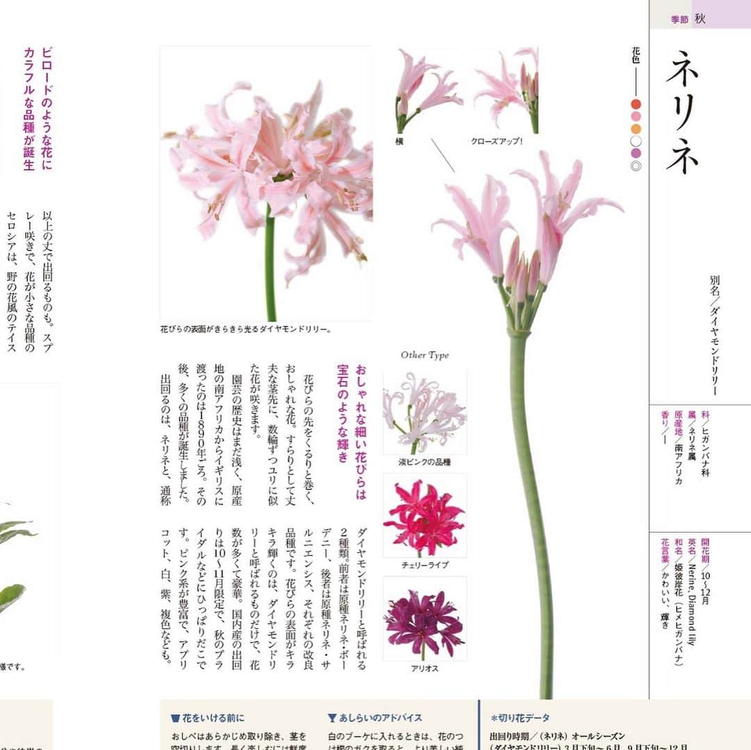 雑誌『花時間』さんのインスタグラム写真 - (雑誌『花時間』Instagram)「『花時間』が贈る、いま、いちばん新しい花屋さんの花図鑑の登場です！  1年間、季節の花を追って、327種の花屋さんの花を厳選しました。品種数は850以上！です。  監修は東京の花市場と老舗花店。 出回り時期や産地から花もち、水あげ、花の扱い方など、最新の花情報がぎっしり詰まっています。ページをめくるだけでも楽しい1冊に仕上げました✌  美しく、実用度も満点の花好き必携書です。  監修 @country_harvest_ch  撮影 @tanabe32  詳細はこちらから↓ https://www.kadokawa.co.jp/product/321906000430/  または、picの商品マークをタップください💕  #flowers #flowerslovers #flowerstagram #flowerarrangement  #花時間 #花時間2020 #花の便利帖 #花屋さんの花図鑑 #花図鑑 #花屋さん #花好き #花好きな人と繋がりたい #花が好きな人と繋がりたい #花のある生活 #花のある暮らし #花を飾る #花を飾る生活 #表参道 #おしゃれな花屋さん #花屋さんへ行こう #花の名前が知りたい」4月9日 21時10分 - hanajikan_magazine