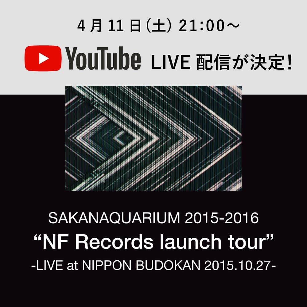 サカナクションさんのインスタグラム写真 - (サカナクションInstagram)「そして、今週末4月11日（土）21時からは「SAKANAQUARIUM 2015-2016 “NF Records launch tour” -LIVE at NIPPON BUDOKAN 2015.10.27-」の配信が決定！  ゲストアクトにGOCOO+GoRoを迎えたサカナクション初の全国アリーナツアー！「years」、「SORATO」、「ナイロンの糸」のMVを担当した山田智和氏 @tomoymd が映像監督を務めています。  配信URLはストーリー・ハイライトにて。 #夜を乗りこなす #STAYHOME」4月9日 21時18分 - sakanaction_jp