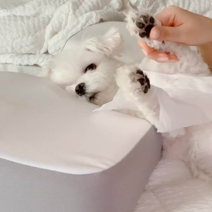 Choi Somiのインスタグラム