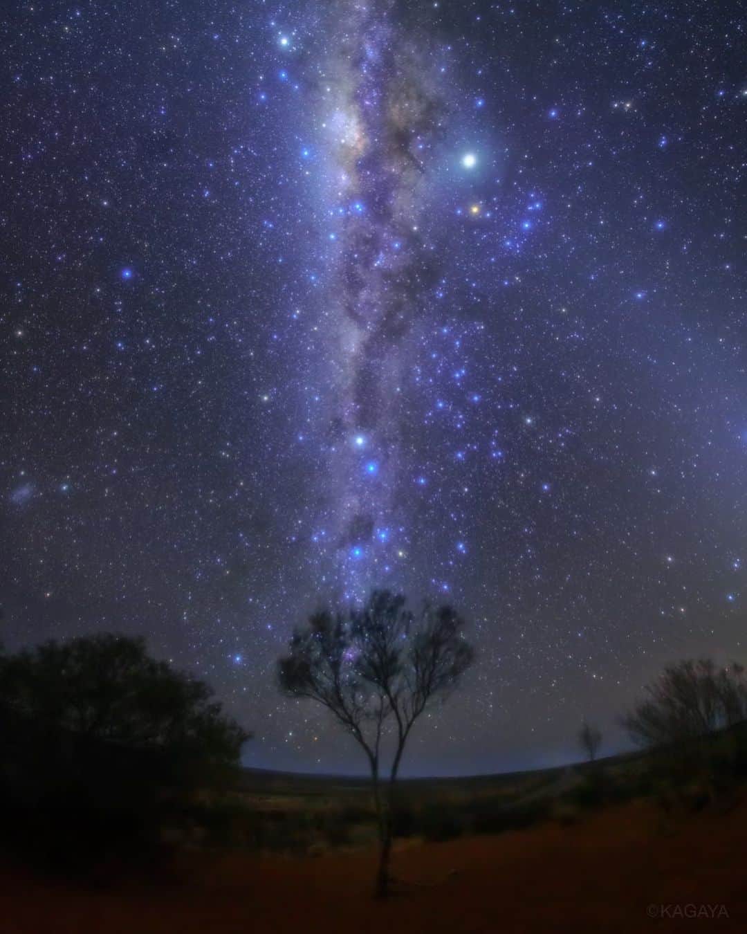KAGAYAさんのインスタグラム写真 - (KAGAYAInstagram)「天の川銀河の宝石たち。 夜空には色とりどりの恒星が無数に輝いています。 （木のすぐ上に、横になった南十字が写っています。以前、オーストラリアにて撮影） 今日もお疲れさまでした。 #星空 #milkyway #milky_way #オーストラリア #australia」4月9日 21時58分 - kagaya11949