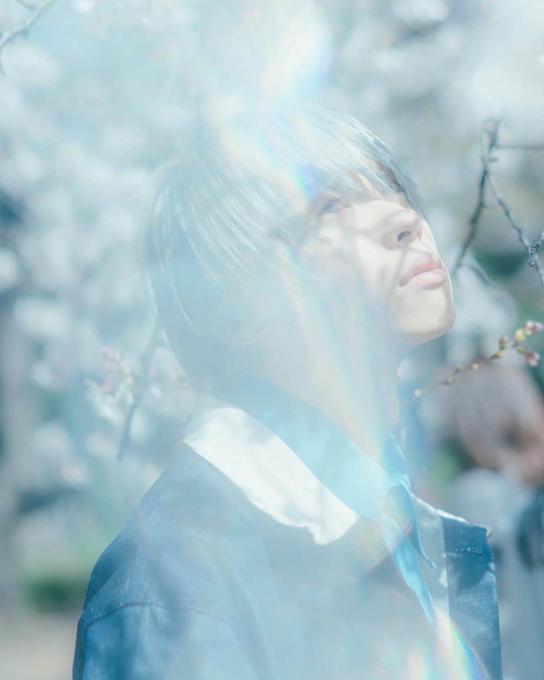 キクチユウジのインスタグラム：「桜 super love」