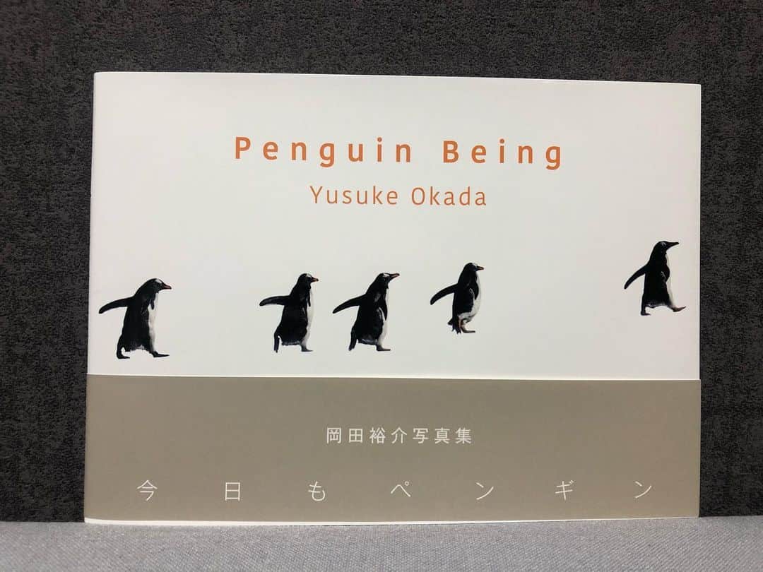 田中幸恵のインスタグラム：「____ . 保存するはずが消しちゃったのでもう一回。 . 最近のおうち時間の過ごし方 . お気に入りの写真集や本を読んでいます . 中でもお気に入りなのが 岡田裕介さん（　@yusukeeokada  さん）の　 今日もペンギン . それまでは水族館で見る、ただただ可愛いって言ったらアレだけど笑、そんなイメージだったペンギン . この写真集に出合って、岡田さんの写真を目にして、それまでのイメージを覆されました . 荒れ狂う海の中、小さな体で家族のために荒波に向かって飛び込む姿や、 そっと寄り添い合う姿。 . あったかくなったり、前向きになれたり、 何とも言えない気持ちをたくさんもらいました。 . 大自然の中でたくましく生きてるペンギンってカッコいい！ . . 誰も予想だにしなかった事態になってしまったけど、こんな時こそ、パワー充電、ステキな写真に触れて前向きに楽しく過ごせたらな、、と。 . ペンギンさん　🐧笑 岡田さん ありがとうございます😊 . ほんと、オススメです✨ . #今日もペンギン  #岡田裕介さん　#本のコト　#stayhome」