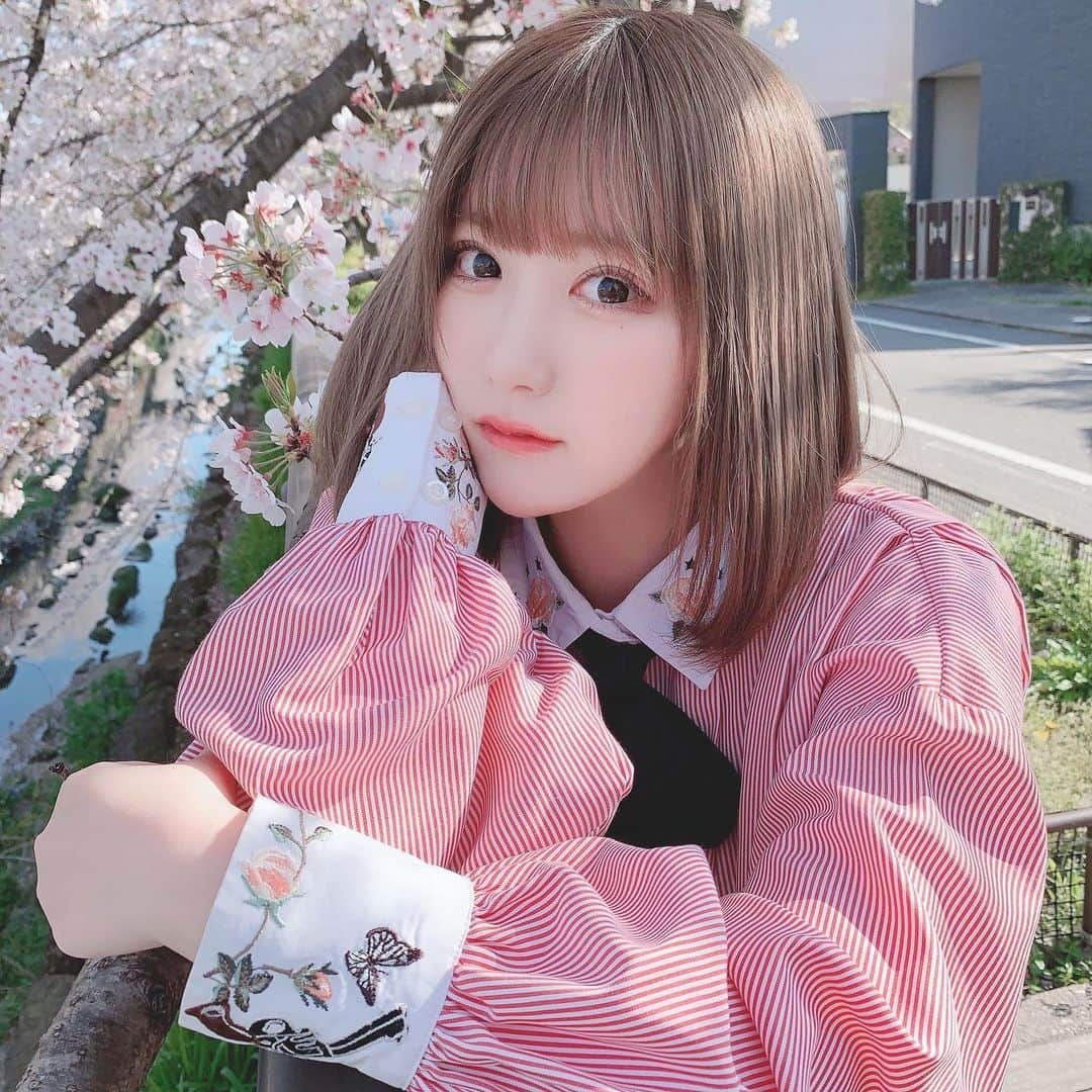 水野愛理さんのインスタグラム写真 - (水野愛理Instagram)「より  #桜  #さくら  #おはなみ  #お花見デート  #お花見コーデ  #高校生  #JK」4月9日 22時44分 - mizunoairi_ske48