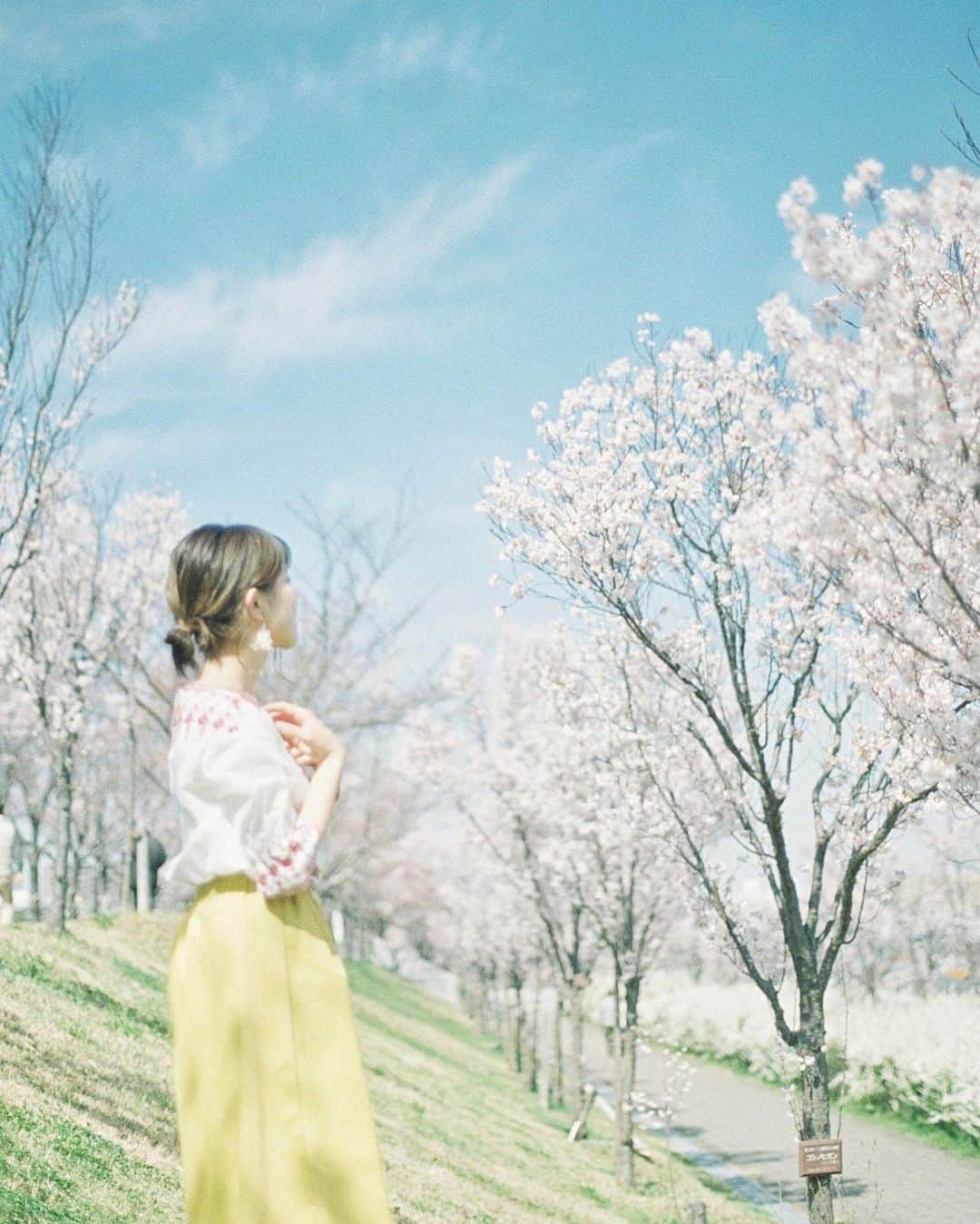 Masaのインスタグラム