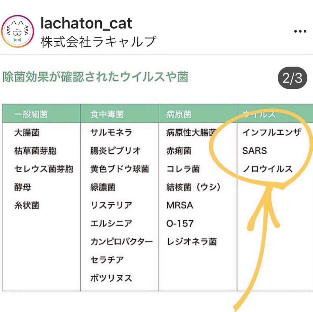 早坂香須子さんのインスタグラム写真 - (早坂香須子Instagram)「おはようございます😃  猫まわりのお掃除に長年使ってきたラシャトンの水の除菌・消臭スプレー。 @lachaton_cat  全く手も荒れないし、匂いもほとんどないので気に入ってましたが、凄い子でした。  100%ナチュラルで、99.9%除菌も消臭もする特許医療水。 効果を発揮した後はただの水にもどるから、排水も汚さない。ペットだけでなく、人間にも地球環境にも優しいなんて、嬉しいね🌏💕 ． ネコ科も感染？とのニュースもあるので、なこ様の周りを清める日々。  暖かくなると食中毒も心配なので キッチン周りでも活躍中♪  #ラシャトン #水の除菌消臭スプレー #次亜塩素酸水 #早坂おススメ」4月10日 8時33分 - kazukovalentine