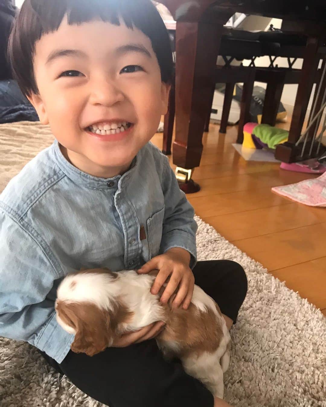 つるの剛士さんのインスタグラム写真 - (つるの剛士Instagram)「仔犬とぼーや。  #しゃっちょ ※先日友人宅に産まれた仔犬」4月10日 8時58分 - takeshi__tsuruno