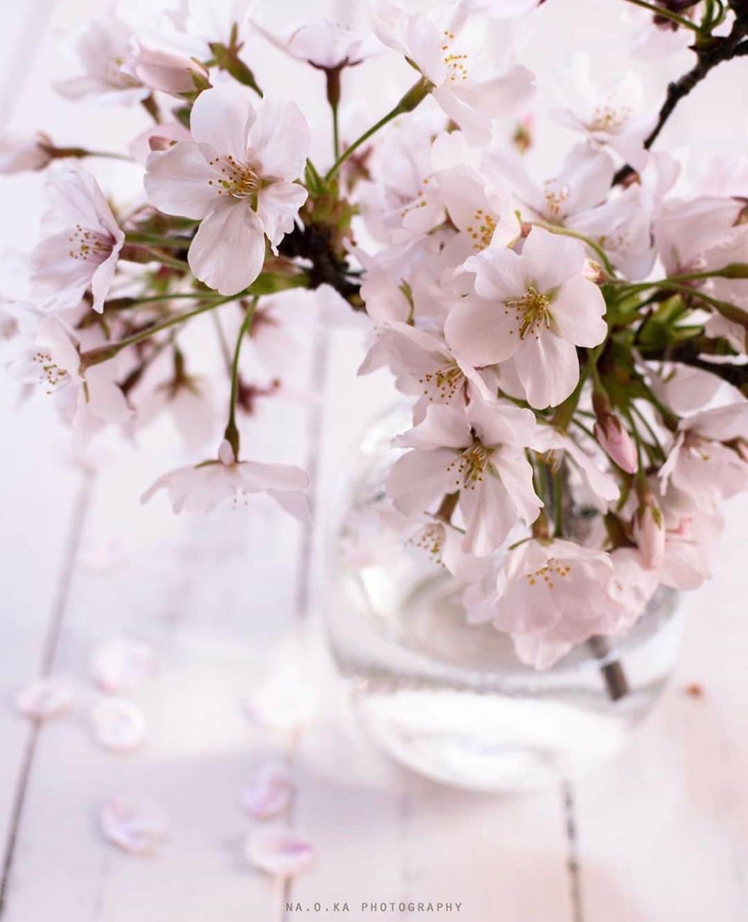 はなまっぷ❁日本の花風景さんのインスタグラム写真 - (はなまっぷ❁日本の花風景Instagram)「🌷🌸はなまっぷの春まつり🌸🌷 * @na.o.ka さんの  花のある風景に花まるを💮 * 人々の心にも花が咲く日本の美しい春をありがとうございます😊🌸 * 🌼サクラの花言葉📝🌼 優美な女性、精神の美 * 今年に限らず過去に撮影されたお写真も含めて、春の花風景をご紹介しています🌸 みなさんの素敵なお写真で、日本の美しい春を楽しみましょう😊 * 🌸•••🌸•••🌸•••🌸•••🌸•••🌸 * いつも素敵なお花をありがとうございます😊 日本の花のある風景にタグ付けしてください🌸 お花があれば何でもOKです💓 * #はなまっぷ * #日本の美しい花風景#花のある風景#花#花言葉#風景#花畑#春#桜#テーブルフォト」4月10日 9時36分 - hanamap