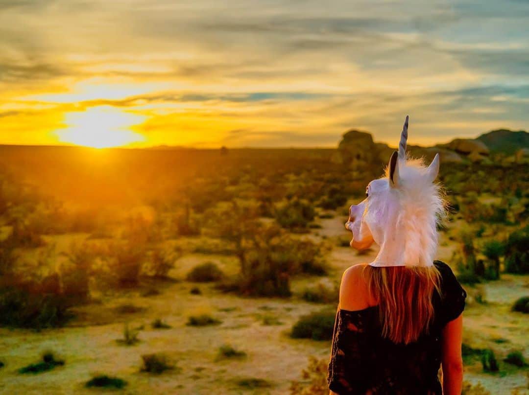 クレア・グラントさんのインスタグラム写真 - (クレア・グラントInstagram)「Desert Unicorn. 🦄 📷: @mikesutter」4月10日 2時27分 - claregrant