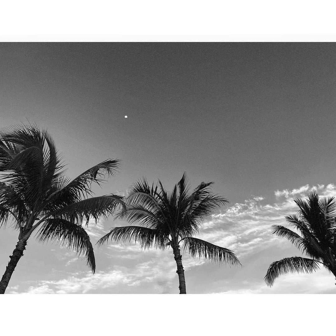 ジェラ・マリアーノのインスタグラム：「Feeling extremely humbled & grateful to be isolating here in the motherland the past month with 2 friends & a Benny🐶. In such a time of introspection it’s definitely been a rollercoaster of emotions & thought. I only now feel settled in with what’s happening, as opposed to before when I still admittedly felt the urgency to plan & change so many things. None of which are even in my control to for the time being, or maybe ever will be for that matter. One of my friends I’m here with is a doctor & I’ve witnessed firsthand the chaos that arises from human fear & desperation. It honestly made me angry in the beginning because here she is putting her life on the line, dedicating herself to her craft & to those in need, while random people feel free to abuse, manipulate & scream at her. It’s okay to ask for help when you need it, but it’s most important to use common sense & keep the bigger picture in focus. If you unnecessarily exhaust our resources (including people here to help us) you’re dooming us all. Even the grocery stores in the mainland all being emptied out leaving the elderly, disabled & ill without a chance, it’s just so sad. My heart goes out to those on the frontlines & to those suffering great loss in these times🙏🏽Everyone is taking a huge hit in this, but those who are in a more stable or even advantageous position need to pull together to balance the gap & help others in need. I’m working on putting something together here in the meantime, you’ll hear from me soon. I send you lots of love & strength, we will all get through this! Take care of yourself, take care of one another...Aloha J🌺」