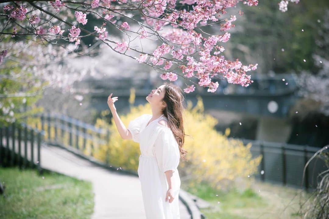 白石ゆうかさんのインスタグラム写真 - (白石ゆうかInstagram)「※今年の写真ではありません . . 来年はお花見できるといいな🌸🍡 . . #桜　#sakura #cherryblossom #春　#spring  #ポートレート #portrait #写真好きな人と繋がりたい  #model #撮影 #pic #picture #picoftheday  #写真 #love #like #follow #followme #instagood #photoofthday #photography #japan #japanese #photo #花吹雪　#桜吹雪」4月10日 17時39分 - shiraishi_yuuka
