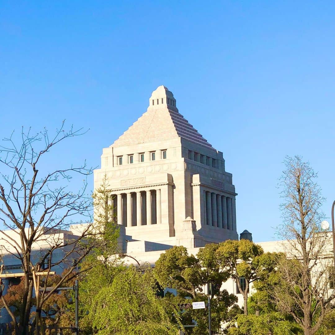 大西宏幸さんのインスタグラム写真 - (大西宏幸Instagram)「・ 緊急事態宣言を忘れるぐらいに東京はいい天気です♫  大西はコロナ対策の為に大阪に 戻らずに東京常駐となります。 ・ #大西宏幸 #衆議院議員 #大阪1区」4月10日 17時55分 - hiroyukionishi
