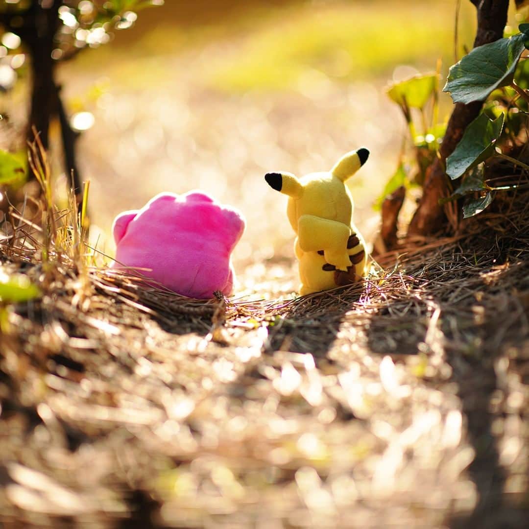 ピカチュウ公式Instagramさんのインスタグラム写真 - (ピカチュウ公式InstagramInstagram)「【今日のピカチュウ】 ピカチュウとメタモンは探検チュウ😁🎵 この先には何があるのかな❔💡 #pikachu #ditto #pokemon #pikachu_snap #photooftheday #adventure #ピカチュウ #メタモン #ポケモン #探検 #道」4月10日 18時00分 - pokemon_jpn