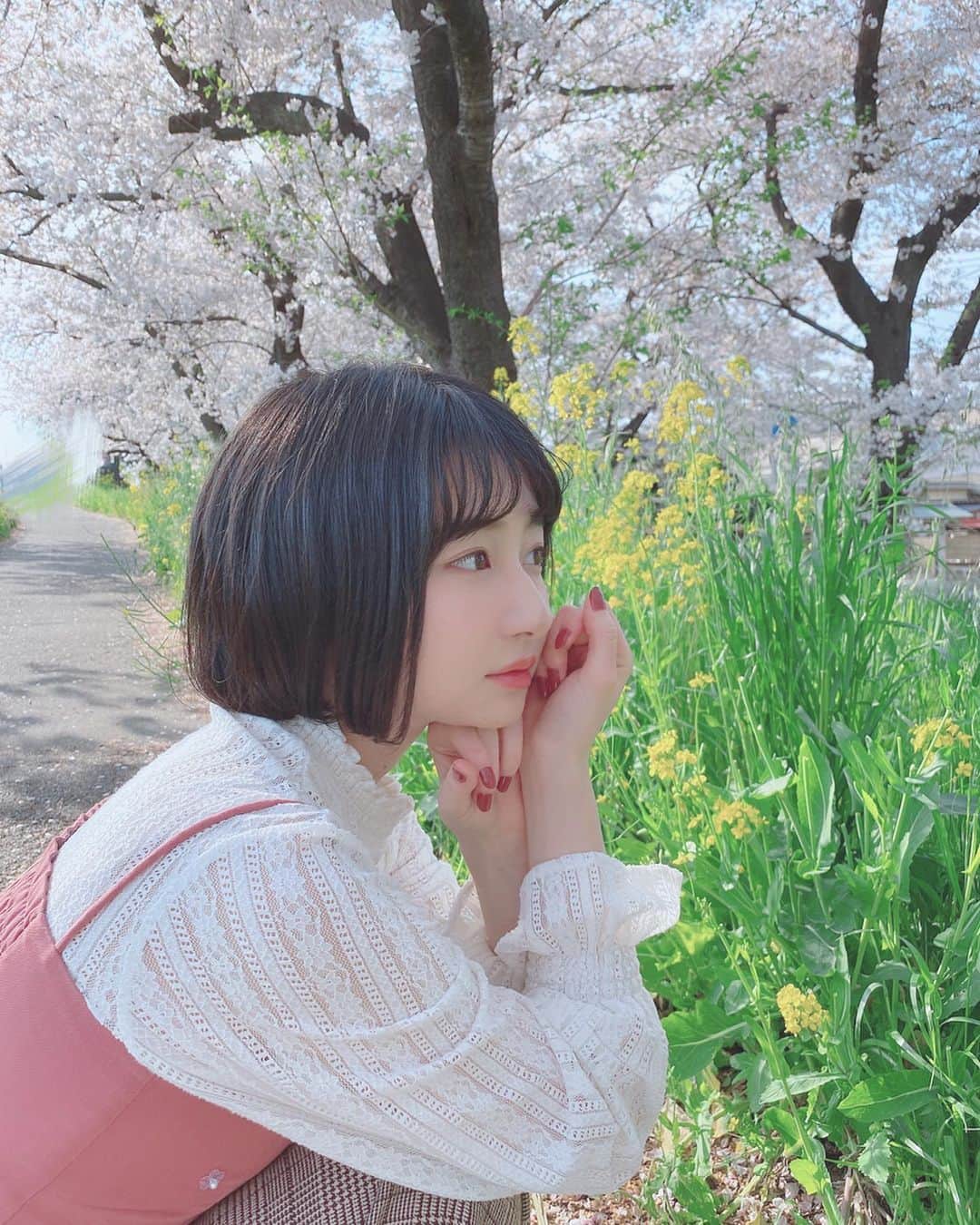 小室ゆらさんのインスタグラム写真 - (小室ゆらInstagram)「.﻿ ﻿ ﻿ 昨日の続き 𓂃𓈒𓏸﻿ 菜の花の黄色と桜のピンクの組み合わせは最高に可愛い🥺♡﻿ ﻿ ﻿ ~ 告知 ~﻿ ﻿ 明日の #王様のブランチ の放送中に﻿ 公式YouTubeにて、﻿ おうちからテレワークで生配信をやります ︎︎︎︎✌︎﻿ ﻿ 9:30からYouTubeをちぇけらしてくださいなっ👼🏻♥﻿ ﻿ ﻿ .」4月10日 18時35分 - komuro_yura_official