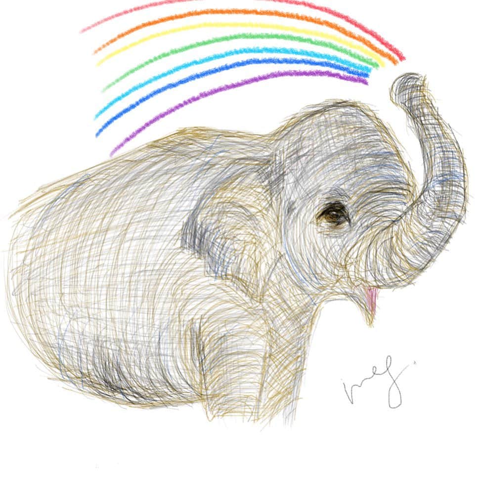栗原恵さんのインスタグラム写真 - (栗原恵Instagram)「🌰 象の優しい目が好きで描きたくて🐘♡ ・ ・ 長い雨の後には 綺麗な虹が出ると信じて…🌈 ・ ・ #ipadでお絵描き  #stayhome  #おうちじかん #象 #elephant  #art #megart🌰」4月10日 18時46分 - megumi_kurihara_official