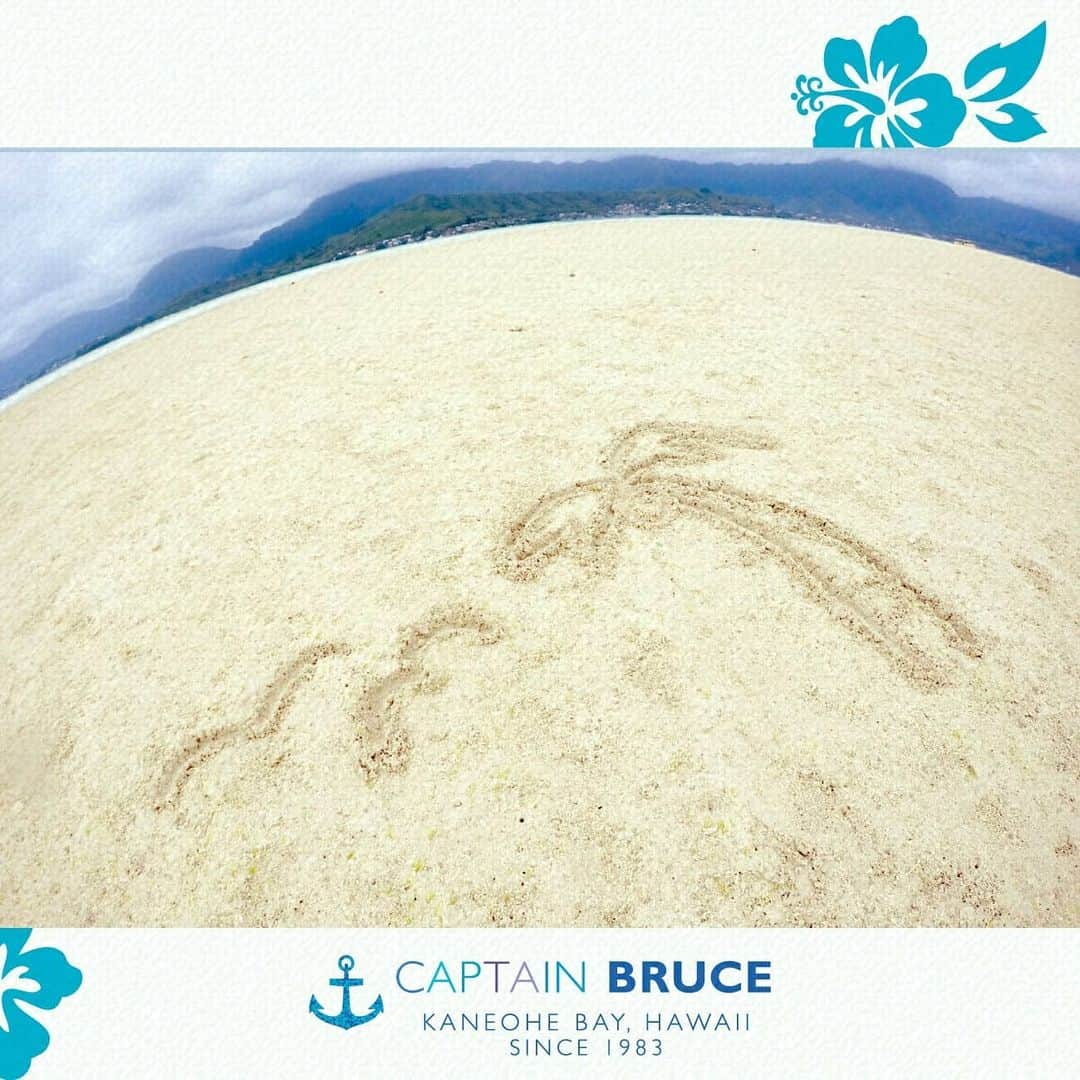 Luxury Cruise by Captain Bruceさんのインスタグラム写真 - (Luxury Cruise by Captain BruceInstagram)「#anniversary⁠ ⁠ 💙🌴⁠🌺⁠ ⁠ ⁠ #captainbruce #sandbar #kaneohe #hawaii #oahu #oahulife #vacation #aloha #ahuolaka #キャプテンブルース #天国の海ツアー #天国の海 #サンドバーツアー #アフオラカ #ハワイ大好き #オアフ島 #海 #love #ahuihou」4月10日 11時02分 - cptbruce_hi