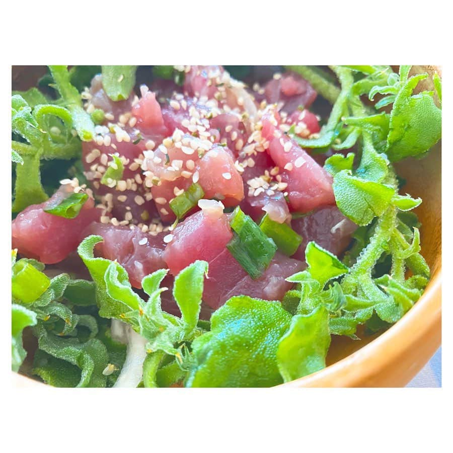 荒川れん子のインスタグラム：「I also bought Ice Plant since it was not included in Fukubukuro this time. It’s yummy with poke😋 さっきの福袋 @metrogrowhawaii 、今回残念ながらアイスプラントが含まれていなかったけど、どうしても食べたくなり別で購入。ポケサラダにしたら凄〜〜く美味しかったです💕アイスプラントの塩気が癖になる！✨ . #詳しくはブログで . . #hawaii #luckywelivehawaii #hawaiilife #foodie #foodporn #poke #lifeisajourney #instahawaii #blog #supportlocal #farmtotable #quarantine #homecooking #ハワイ #ハワイ生活 #ハワイ暮らし #日々の暮らし #ハワイ好き #自宅待機 #外出禁止 #頑張れハワイ #野菜 #ポケ #水耕栽培 #期間限定 #ブログ #おうち時間 #おうちごはん #サラダ好き」