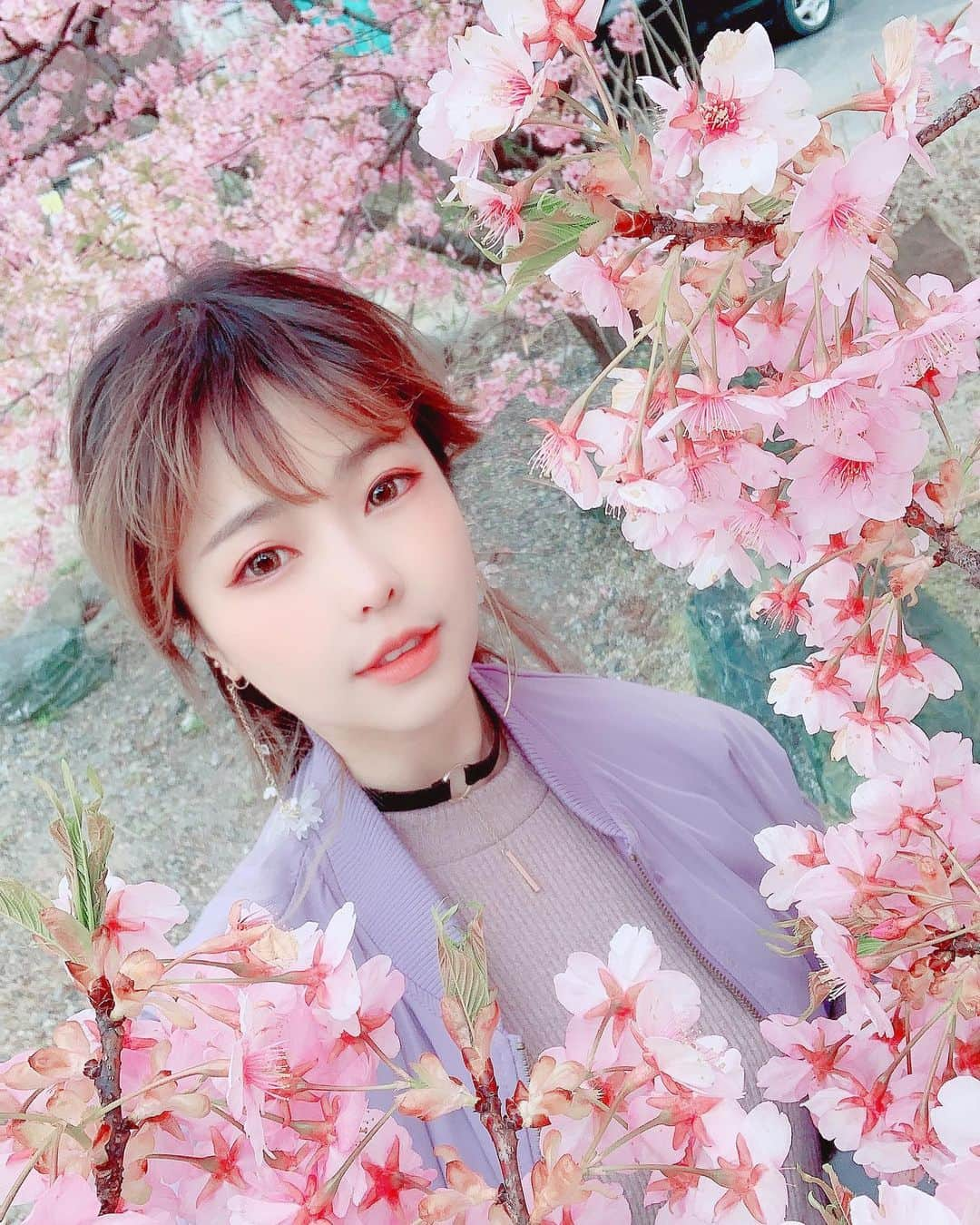 Elyさんのインスタグラム写真 - (ElyInstagram)「🌸 E🌸 . 🌸 .  #elycosplay #dailyely #elydaily #blessed #sakura #さくら」4月10日 12時12分 - eeelyeee