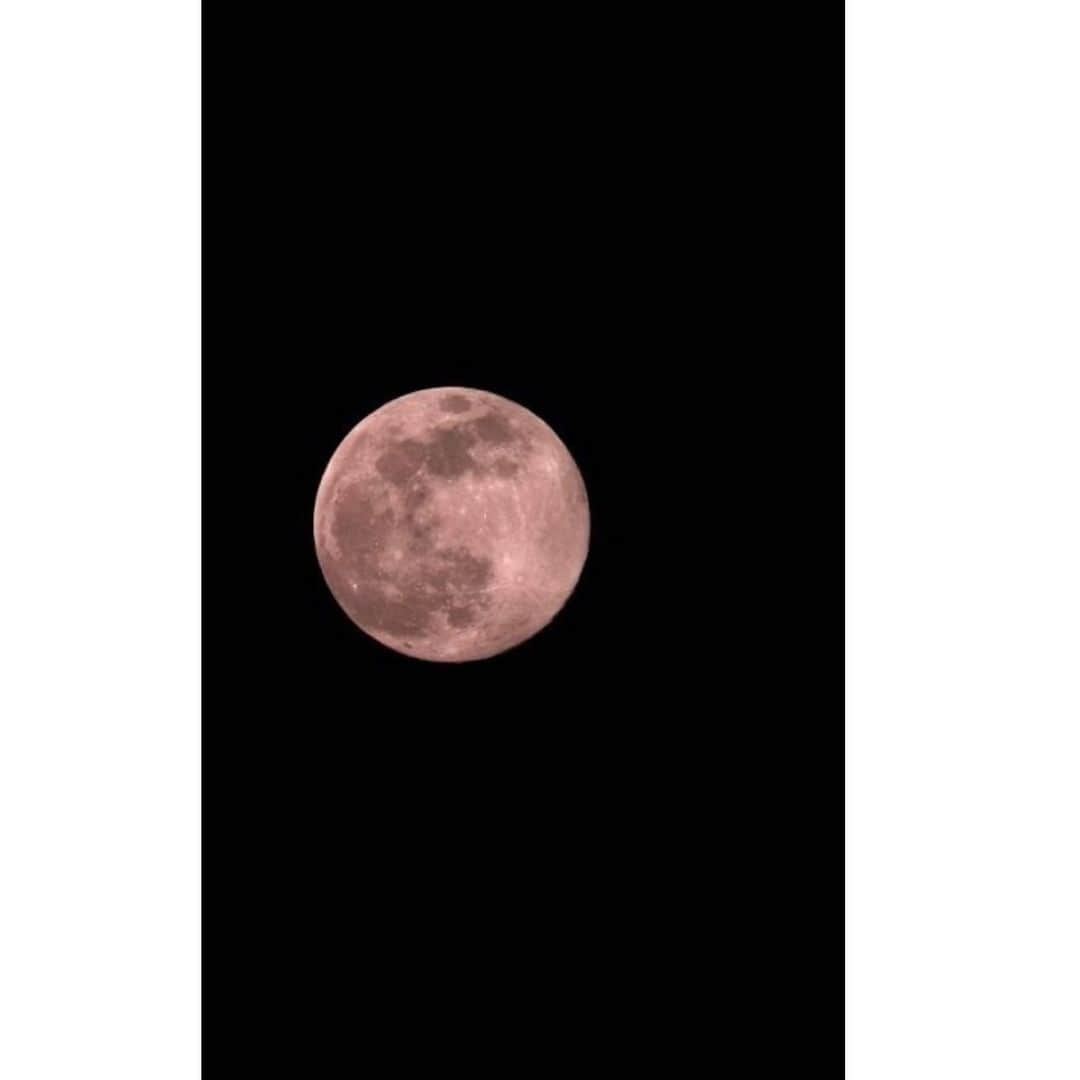 ハ・ジウォンさんのインスタグラム写真 - (ハ・ジウォンInstagram)「The pink moon last night 🌸」4月10日 12時21分 - hajiwon1023
