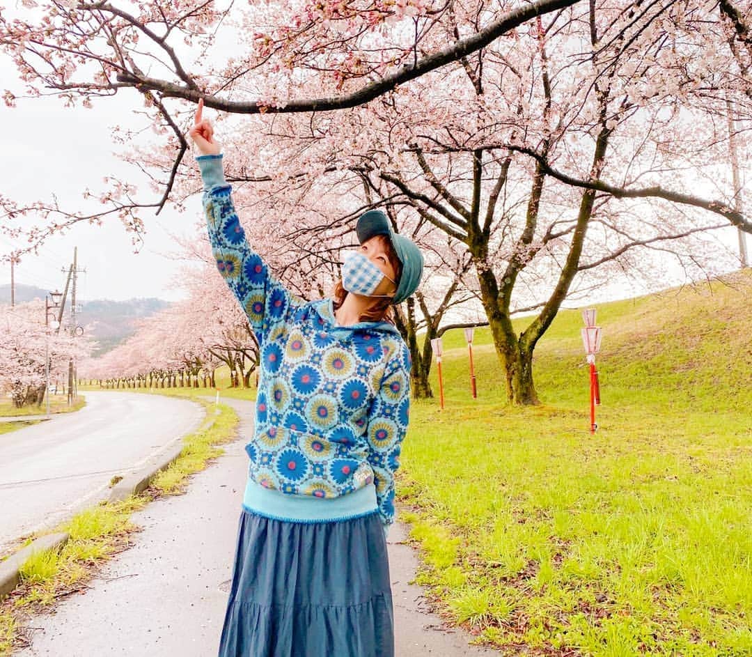 伊勢みずほさんのインスタグラム写真 - (伊勢みずほInstagram)「ラジオの中継でした🌸 関川村高瀬の桜並木も見事でした✨ 今年はゆっくりお花見がしにくい状況ですが、車の中から、お散歩しながら、インスタの写真で、VR映像で。。。 来年の桜を楽しみに、今年はいい子に楽しみましょう🌸🌸🌸 #bsn #ラジオ #週末ドコイコッカー  #高橋なんぐの金曜天国 #中継 #ドライブ #桜 #🌸 #散歩 #インスタ #新潟県 #関川村 #高瀬の桜並木 #niigata #sakura #臼木優香 #伊勢みずほ #アナウンサー #パーソナリティー #来年も桜は咲く」4月10日 12時25分 - isemizuhoo