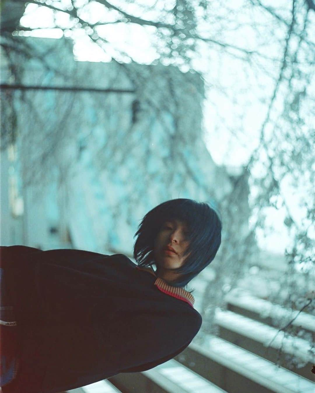 Takaoさんのインスタグラム写真 - (TakaoInstagram)「. chilly wind .  仕事自粛で早めの帰宅 写真という趣味があって救われる。。 . #fujifilm  #contaxt2  #indies_gram  #indy_photolife  #igersjp  #hueart_life  #filmphotography  #35mm」4月10日 19時16分 - takaozan_2