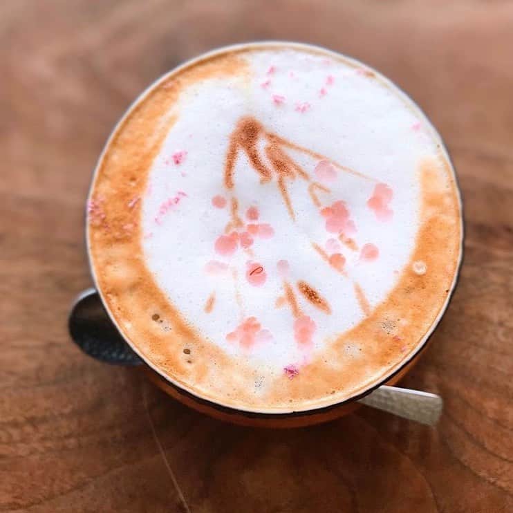 Beaustagrammerのグルメインスタ