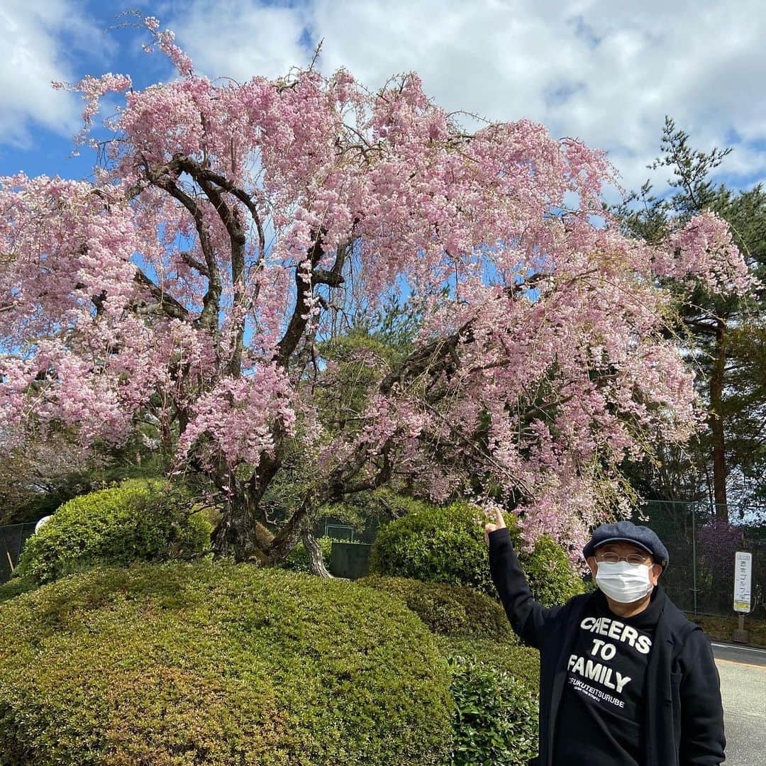 笑福亭鶴瓶さんのインスタグラム写真 - (笑福亭鶴瓶Instagram)「西宮の枝垂れ桜です。みんなの健康を守って下さい。 ４月10日」4月10日 14時04分 - shofukuteitsurube