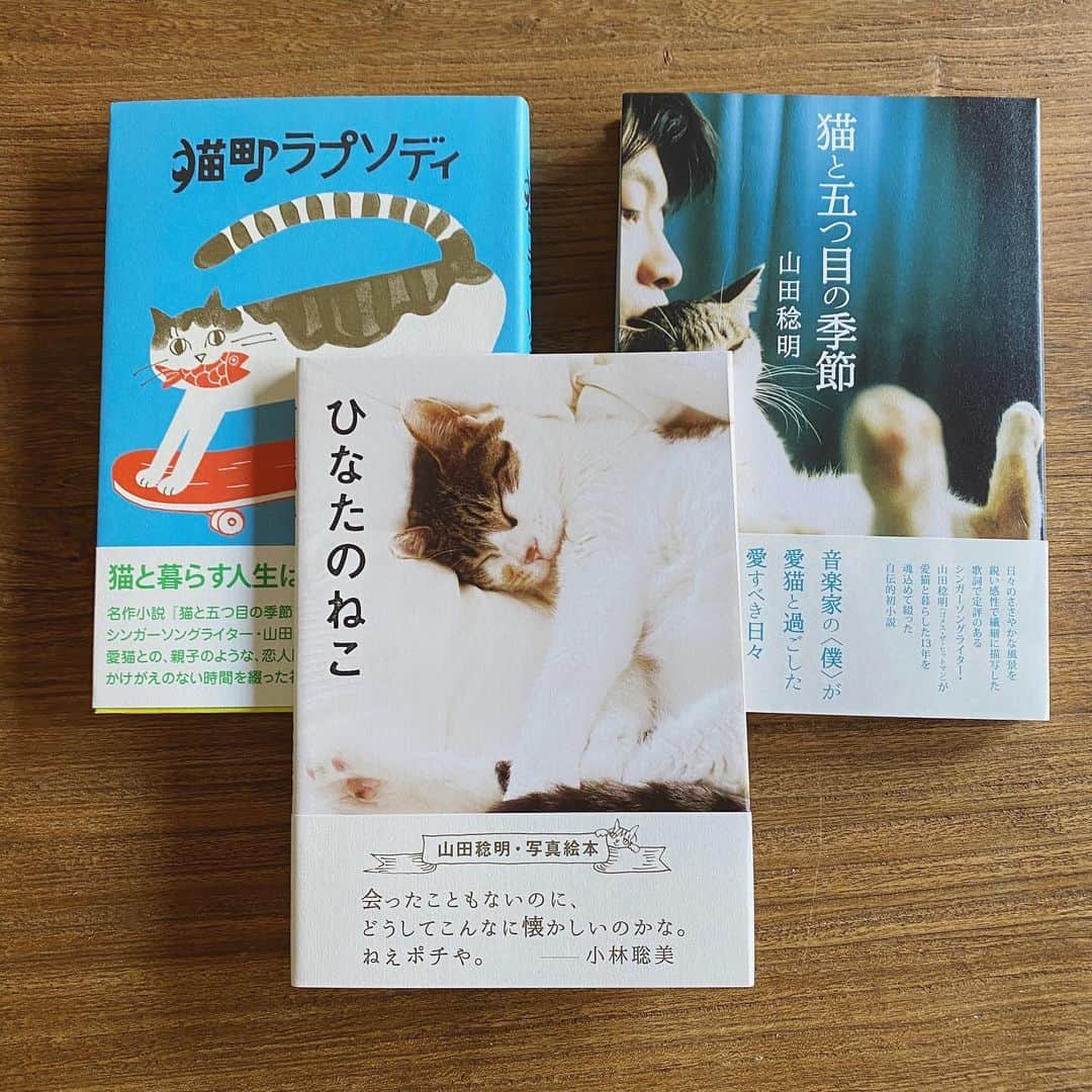 山田稔明さんのインスタグラム写真 - (山田稔明Instagram)「通販STOREに写真絵本「ひなたのねこ」含めて猫関連本3冊を再入荷。おうち時間にいかがでしょうか。」4月10日 14時10分 - toshiakiyamada