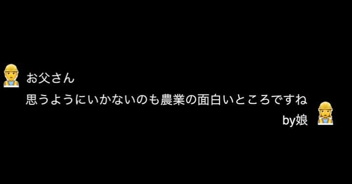 田中幸のインスタグラム