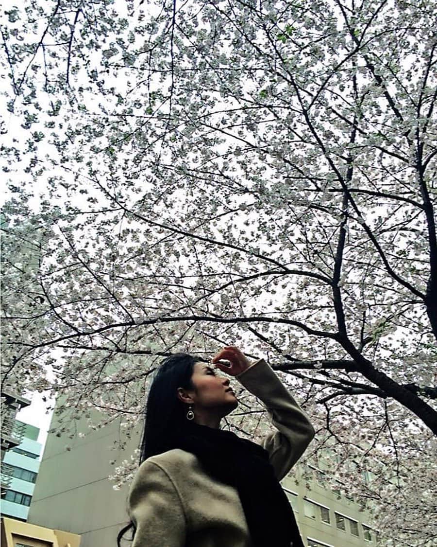 日下裕江さんのインスタグラム写真 - (日下裕江Instagram)「週末は雨が降りそう☔️ 今年の桜とは そろそろお別れの時がやって来たかな…  こんな時だけど、 今年も綺麗に咲いて みんなの心を癒してくれて ありがとう❤️ #桜 #sakura #cherryblossom  #桜とお別れ寂しい #癒しをありがとう」4月10日 15時29分 - hiroe___h