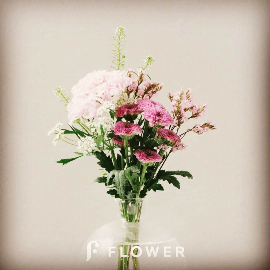 のインスタグラム：「FLOWER ちょっと気になったので、ポストに届くお花を頼んでみました♡届くのが楽しみ！  FLOWER｜かわいいお花がポストに届く、2週間に1度の定期便 https://flowr.is  注文時に招待コード『PFGH』を入力すると、 ブーケプラン（500円）が2回無料でお試しできます。  #おうち時間  #flower_is #お花のある暮らしはじめました #japan #japanese #yolo  #instagood #instadaily #tflers #modeling #model  #dietitian #organic #オーガニック #管理栄養士 #食事相談 #ダイエット #野菜ソムリエ #美容 #美活」
