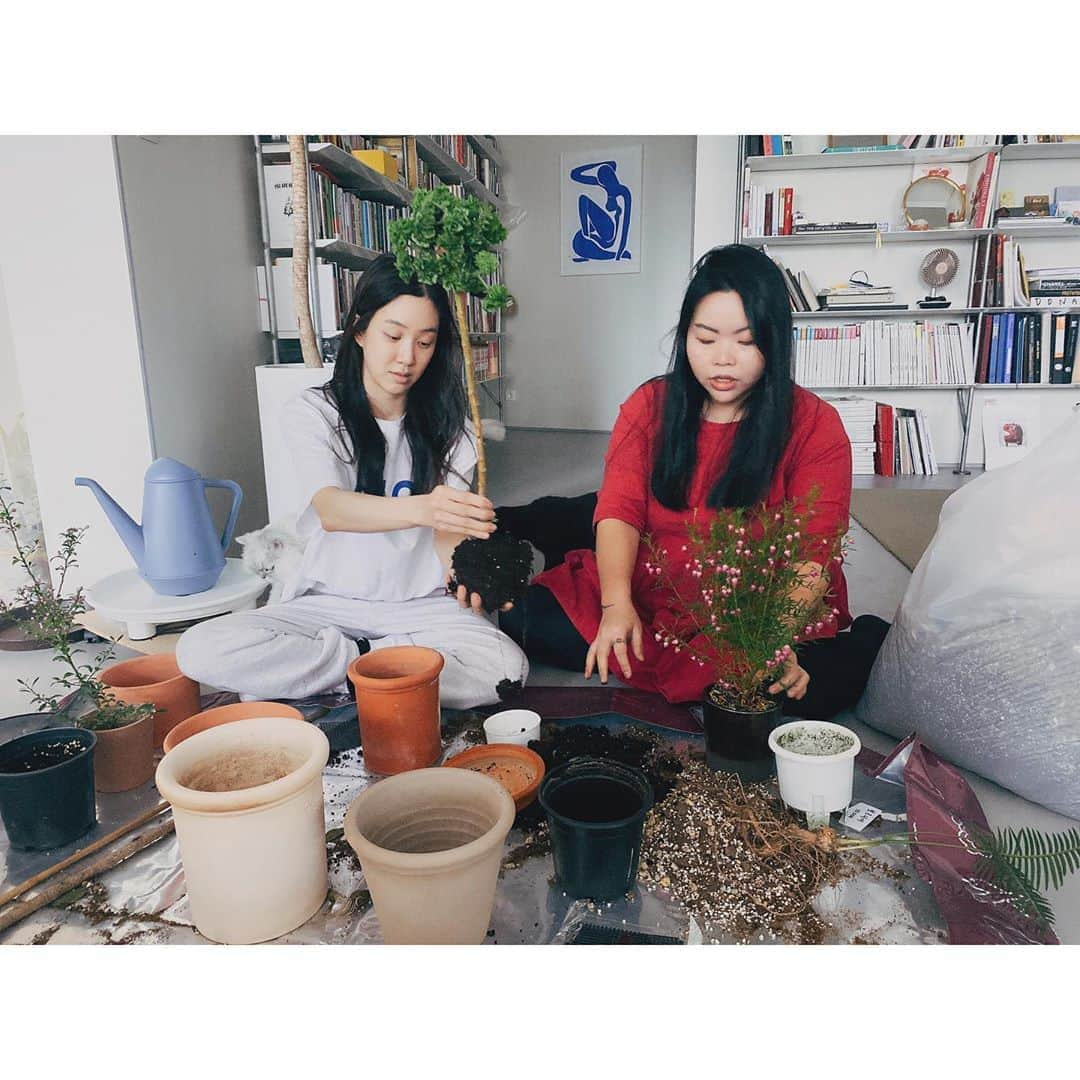 チョン・リョウォンさんのインスタグラム写真 - (チョン・リョウォンInstagram)「. 슬기로운 분갈이 생활🍃🌿☘️🌳🌵 with 식물박사👈🌳 @nap717」4月10日 16時35分 - yoanaloves