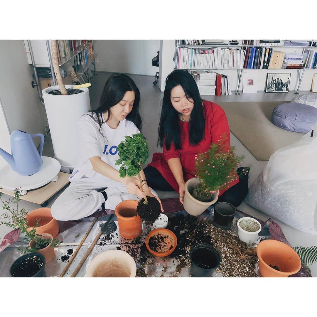 チョン・リョウォンのインスタグラム：「. 슬기로운 분갈이 생활🍃🌿☘️🌳🌵 with 식물박사👈🌳 @nap717」