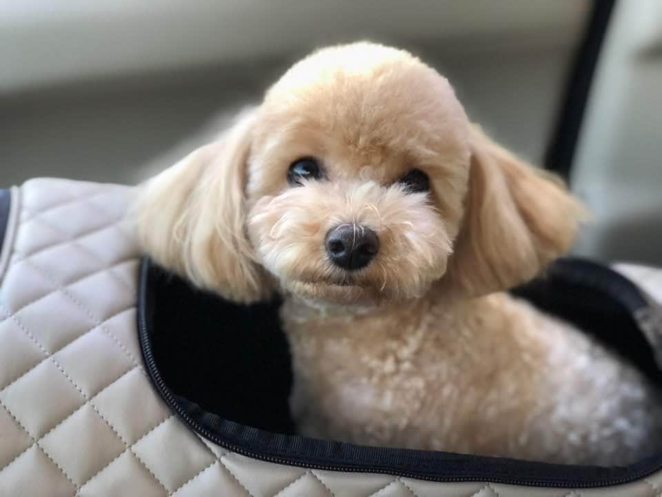 ジヨン のインスタグラム