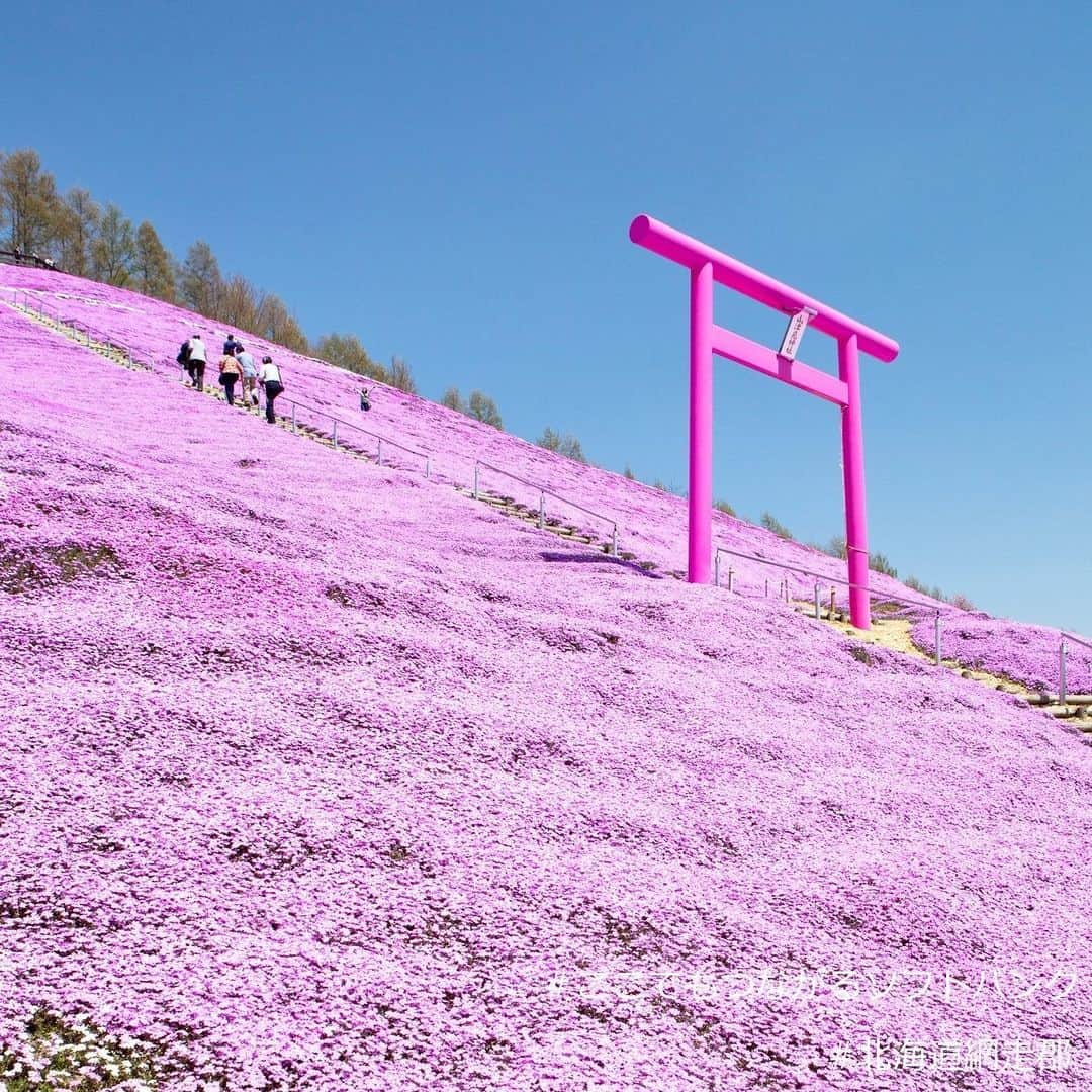 ソフトバンク(SoftBank) のインスタグラム