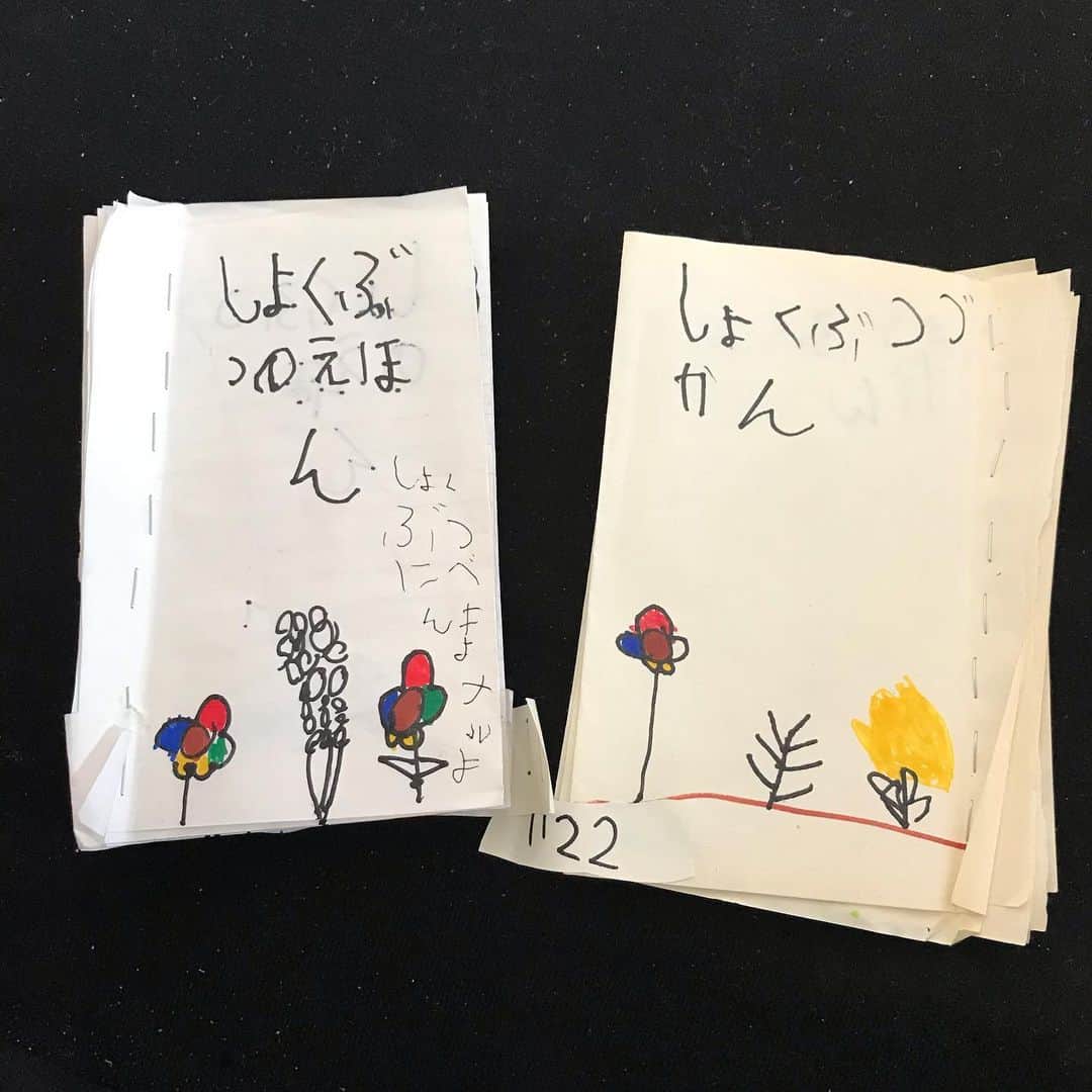 やまもとりえのインスタグラム：「長男が植物図鑑を作りました。1122円だそうです。 植物の名前は上から読んで、文章は下から読みます。 サカナクション聴きながらノリノリで制作しました。」