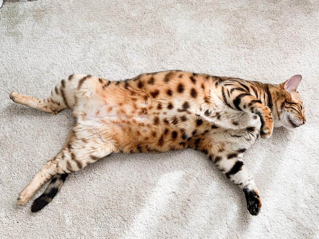 Bensonのインスタグラム：「Spots exposed」