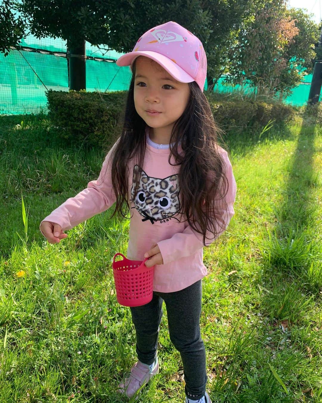 エリナ シルカのインスタグラム：「お散歩中にお花と枝を拾って、 午後にアートタイム🌸🍃」
