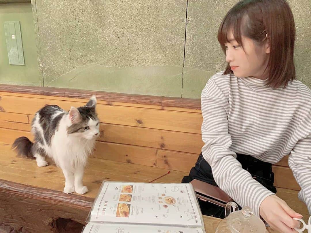 小田桐奈々のインスタグラム