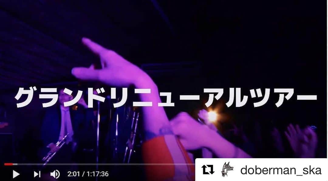 シーサーのインスタグラム：「・ ・ ライブ楽しみにしてくれてた人。 ライブ来て楽しんでくれた人。 ライブ来たくても来れなかった人。 おうち時間が少しでも楽しくなるように、 グランドリニューアルツアーのライブ映像公開したYo!! おうちでパーティーしようぜぃ！ ピス！ . . （ドーベルマンのインスタプロフィールから見れます） ↓↓↓↓ . #Repost @doberman_ska ・・・ よろしければリポストお願いいたします！ . 日々、 皆さんも大変な毎日ですが、 DOBERMAN グランドリニューアルツアーのLIVE UPしました。 . インスタプロフィールからリンクしてます。 ↓ https://www.youtube.com/watch?v=Zf4cfCzouKg&feature=youtu.be . ご自宅をライブハウスと思って 是非楽しんで下さい。 また落ち着きを取り戻したら、 全国のライブハウスに 起こし下さい。 . DOBERMAN . . 2020年2月11日 DOBERMAN グランドリニューアルツアー2020 in 大阪 味園ユニバース .  撮影/編集 辻野学 鈴木恭平 DOBERMAN . . 是非、感想お待ちております。 . #doberman_ska #グランドリニューアル #おうち時間 #stayhome #livemovie #ska #worldmusic」