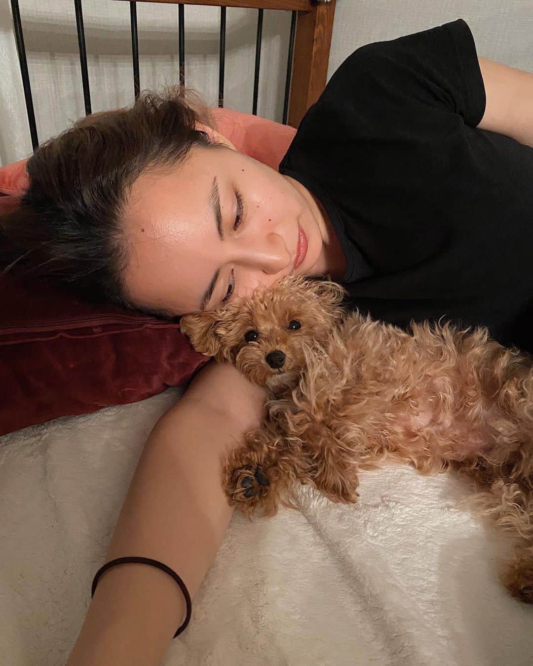 Julia Castroさんのインスタグラム写真 - (Julia CastroInstagram)「寝る前のいちゃいちゃタイム。 最後にスキンシップをとってからノエルは自分のベッドで寝てるよ🐶 最近5時くらいに起こしてくるの、とっても早起きで困っちゃう笑 毎日一緒にいれて幸せ幸せ🧡 . #Noelくん #puppy #family #dogstagram #mydog #mybaby #maltipoo #maltese  #toypoodle #poodle  #bed #night #sleepy #goodnight #baby #ノエルくん #愛犬 #家族 #パピー #わんちゃん #マルプー #夜 #ルーティン  #ベッドルーム #おやすみ #ナイトルーティン  #私の幸せ時間」4月10日 21時34分 - julia.c.0209