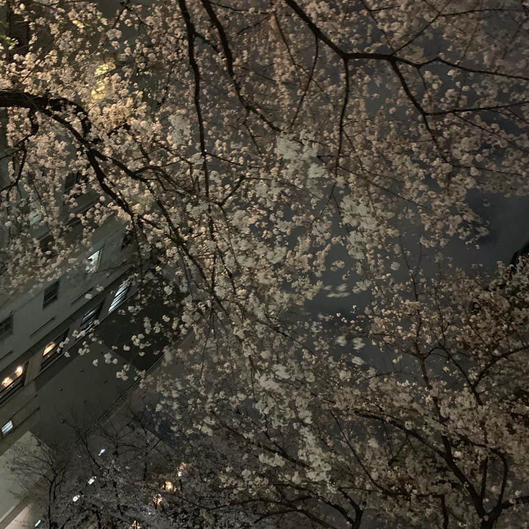 杉浦みずきのインスタグラム